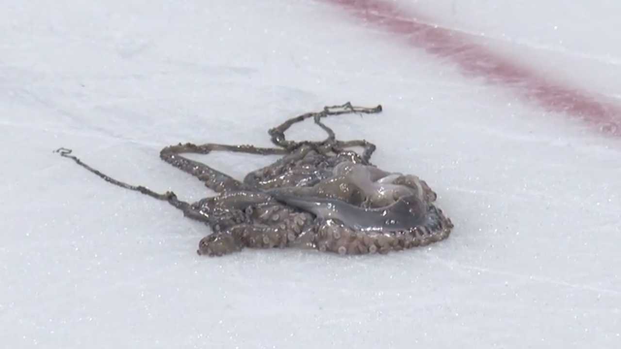 Fan arrested for allegedly throwing octopus on ice at Bruins game